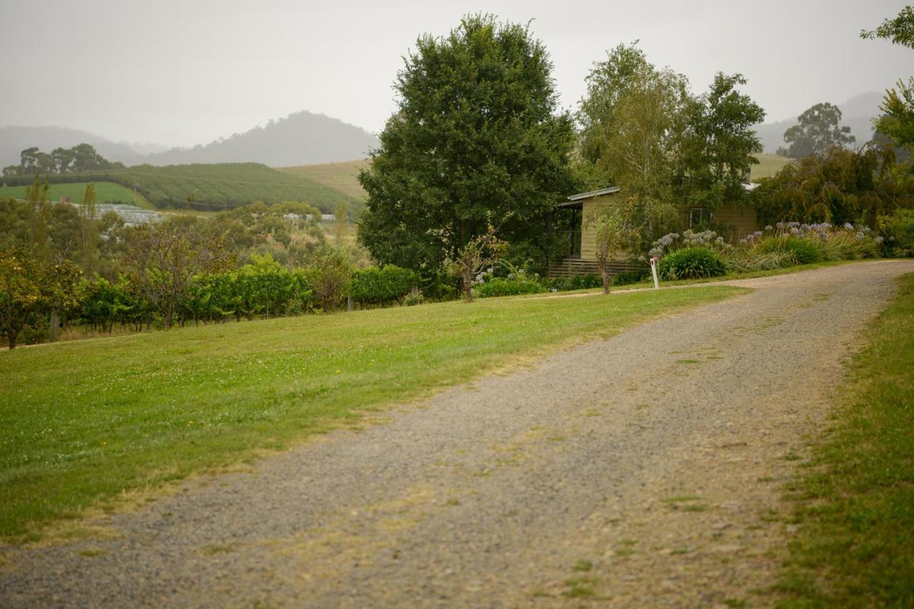 Borrodell Vineyard Hotell Orange Exteriör bild